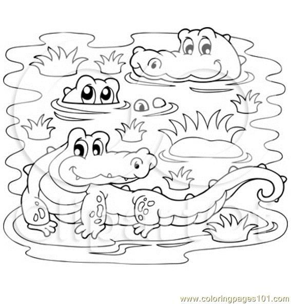Crocodiles In A Swamp Coloring Page 567x592 Crocodiles In A Swamp Coloring Page