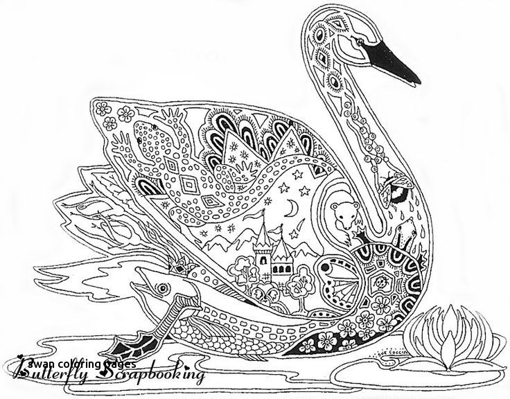 Swan Coloring Pages 736x576 Swan Coloring Pages