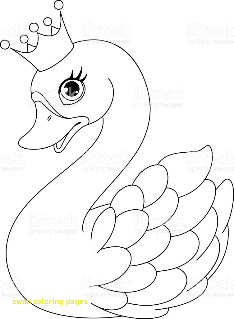 Swan Coloring Pages With Swans Coloring Pages Swimming Swan 753x1024 Swan Coloring Pages With Swans Coloring Pages Swimming Swan