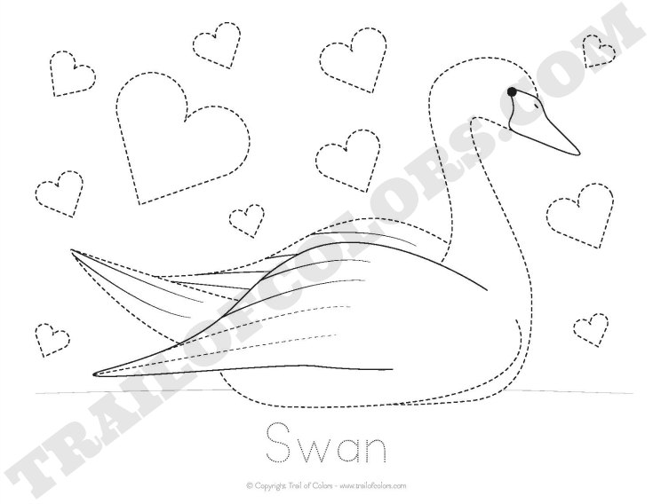 Swan Tracing Coloring Page 735x568 Swan Tracing Coloring Page