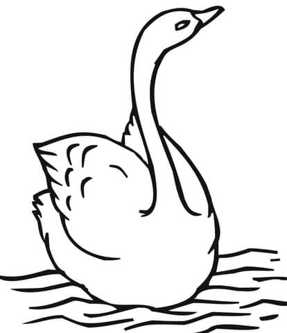 Swimming Swan Coloring Page 414x480 Swimming Swan Coloring Page