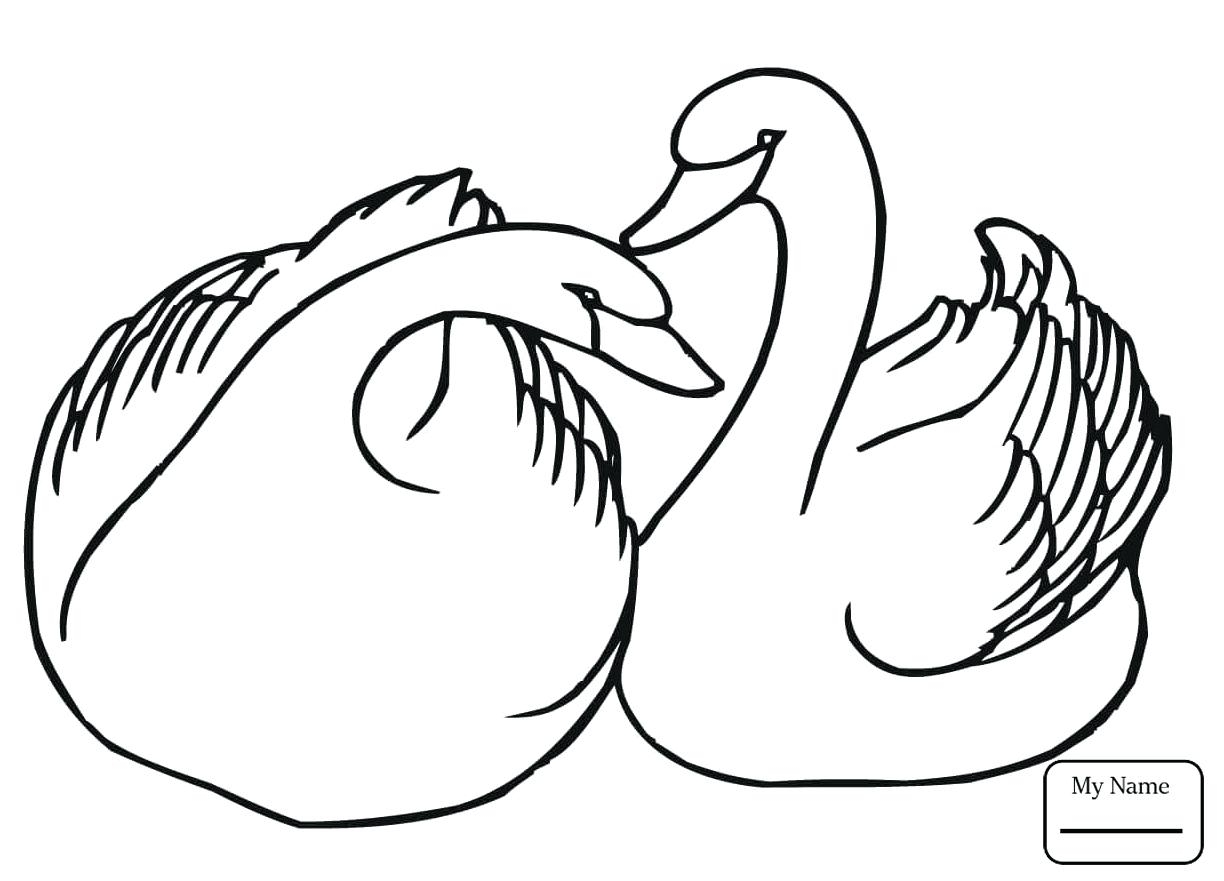 Unique Swan Coloring Page Gallery Printable Coloring Sheet 1224x881 Unique Swan Coloring Page Gallery Printable Coloring Sheet