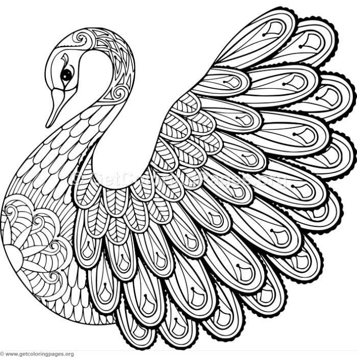 Zentangle Swan Coloring Pages 700x700 Zentangle Swan Coloring Pages