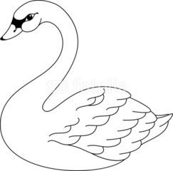 Swan Coloring Pages 243x240 Swan Coloring Pages