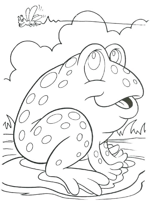 Coloring Page Sweet Frog Coloring Pages Vodaciinfo Frog Coloring 614x800 Coloring Page Sweet Frog Coloring Pages Vodaciinfo Frog Coloring