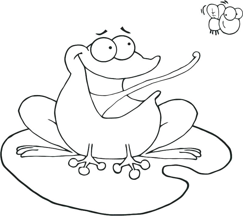 Frog Coloring Page Sweet Frog Coloring Pages Free Coloring 800x711 Frog Coloring Page Sweet Frog Coloring Pages Free Coloring