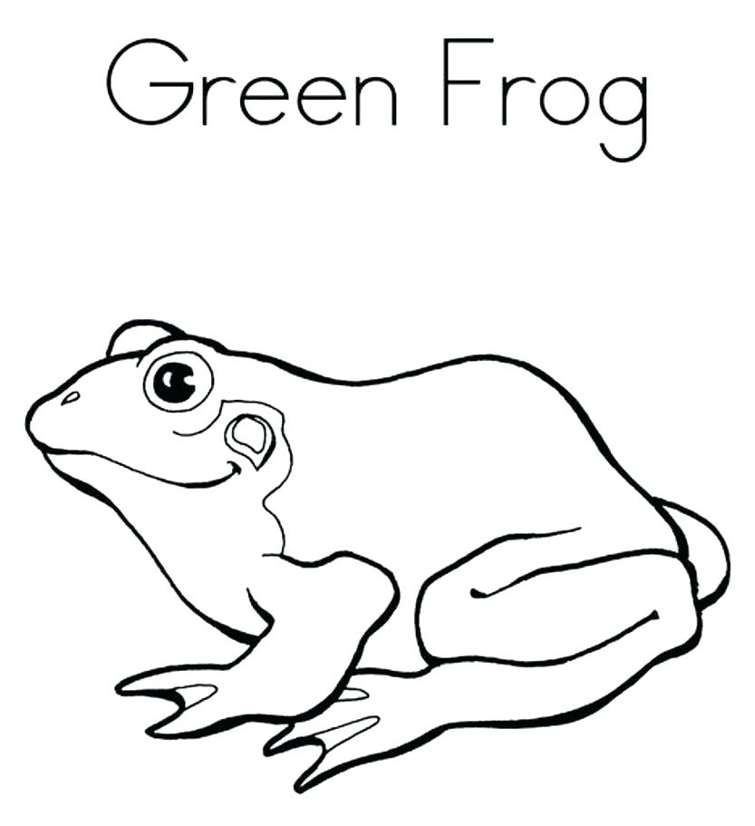 Frog Coloring Pages Hand Drawn Frog For Coloring Book For Adult 833x911 Frog Coloring Pages Hand Drawn Frog For Coloring Book For Adult