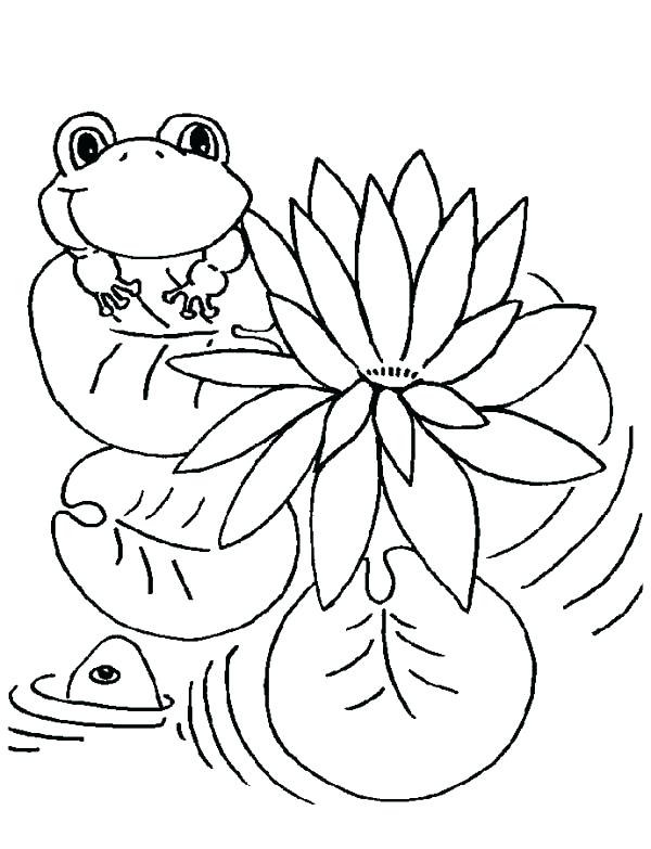 Sweet Frog Coloring Pages Frogs Lily Pad And Page Print Coloring 600x783 Sweet Frog Coloring Pages Frogs Lily Pad And Page Print Coloring
