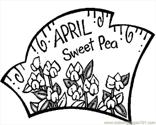Coloring Pages April Sweet Pea Natural World Flowers Free Bebo 650x520 Coloring Pages April Sweet Pea Natural World Flowers Free Bebo