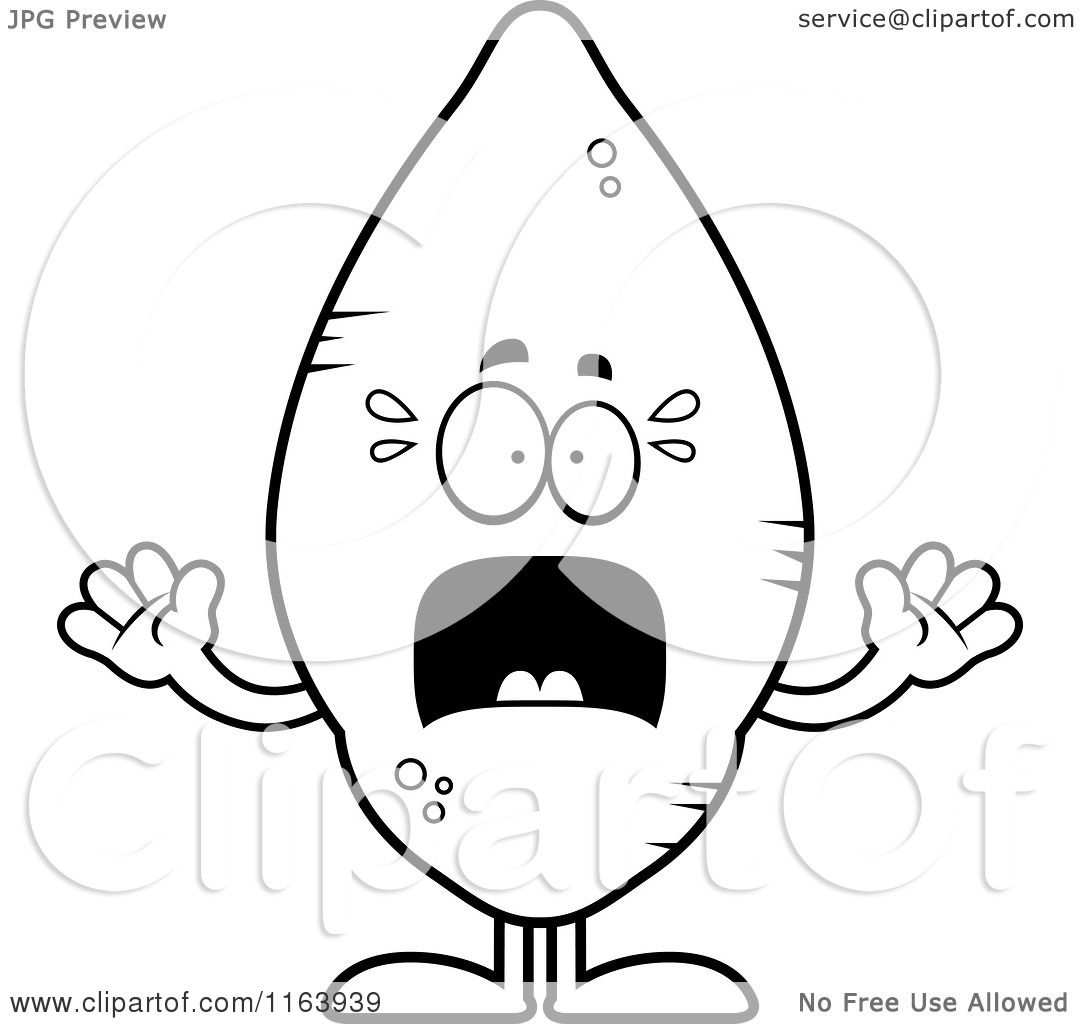 Cartoon Of A Scared Sweet Potato Mascot 1080x1024 Cartoon Of A Scared Sweet Potato Mascot