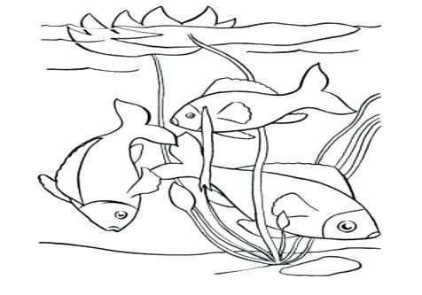 Pond Coloring Page Pond Coloring Pages Preschool Happy Fish Swim 476x333 Pond Coloring Page Pond Coloring Pages Preschool Happy Fish Swim