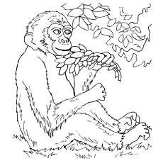 230x230 Top 25 Free Printable Monkey Coloring Pages For Kids