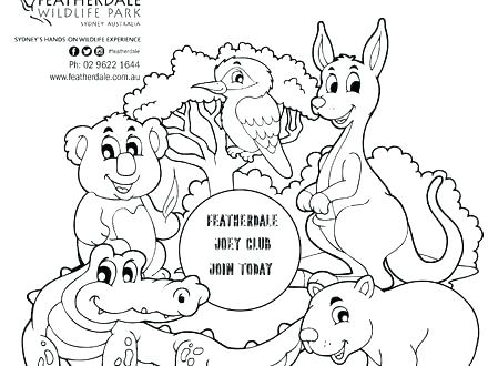 440x330 Australian Animals Coloring Page For Kids Australian Animals