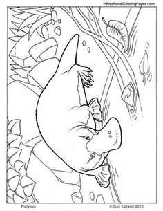 236x305 Sydney Opera House Colouring Page. Free Printable. Australian