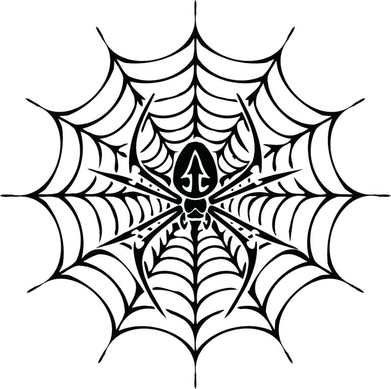 799x795 Symmetry Coloring Sheets Symmetry Coloring Free Printable Spider