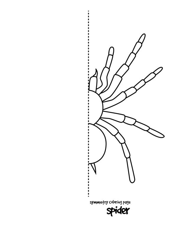 600x776 Tarantula Spider Symmetry Coloring Page Color Luna