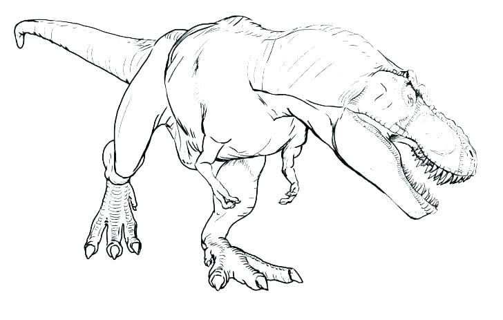 728x463 T Coloring Page