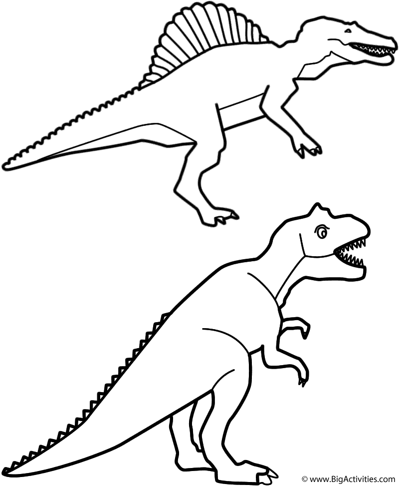 800x975 Spinosaurus And T Rex