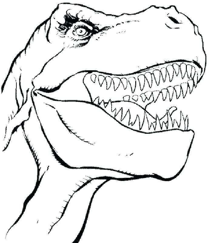 Free Dinosaur Coloring Pages T Rex Dinosaur Coloring Pages T 699x800 Free Dinosaur Coloring Pages T Rex Dinosaur Coloring Pages T