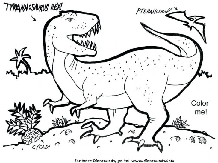 T Rex Coloring Page Indominus Dinosaur Pages Awesome 7 Amazing 728x546 T Rex Coloring Page Indominus Dinosaur Pages Awesome 7 Amazing