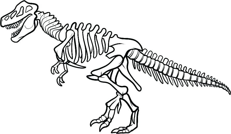 Trex Coloring Page T Coloring Page T Coloring Pages Best For Kids 894x522 Trex Coloring Page T Coloring Page T Coloring Pages Best For Kids
