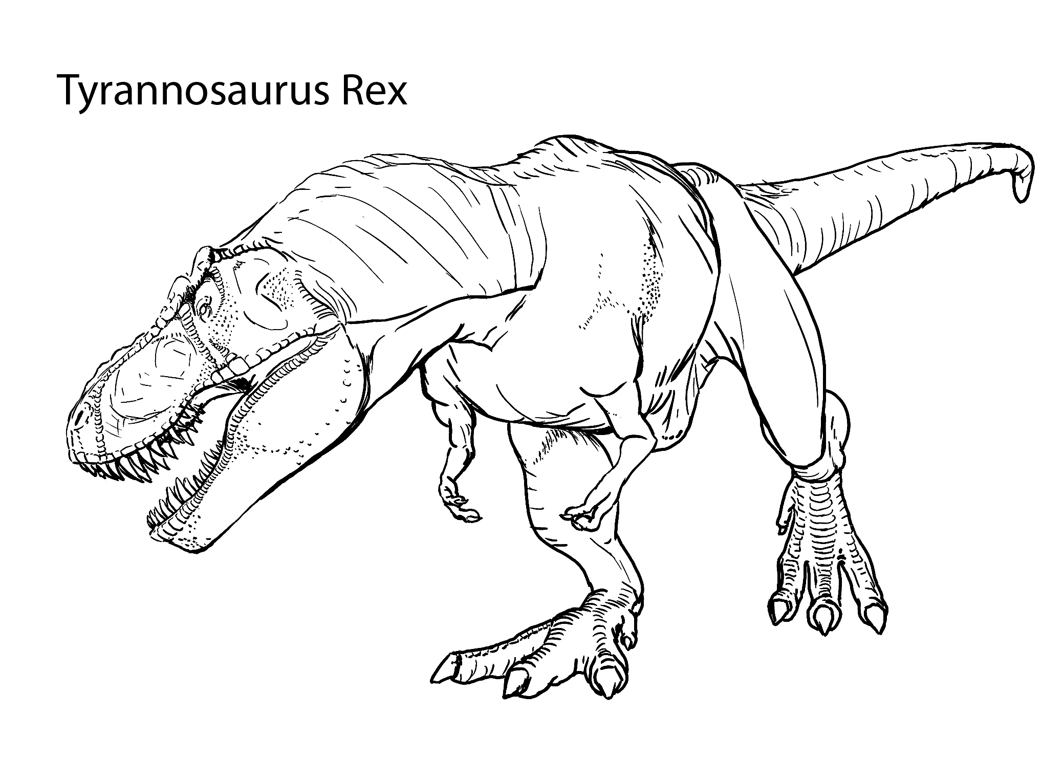 T Rex Coloring Pages Lovely Dinosaur T Rex Coloring Pages Coloring 2079x1483 T Rex Coloring Pages Lovely Dinosaur T Rex Coloring Pages Coloring