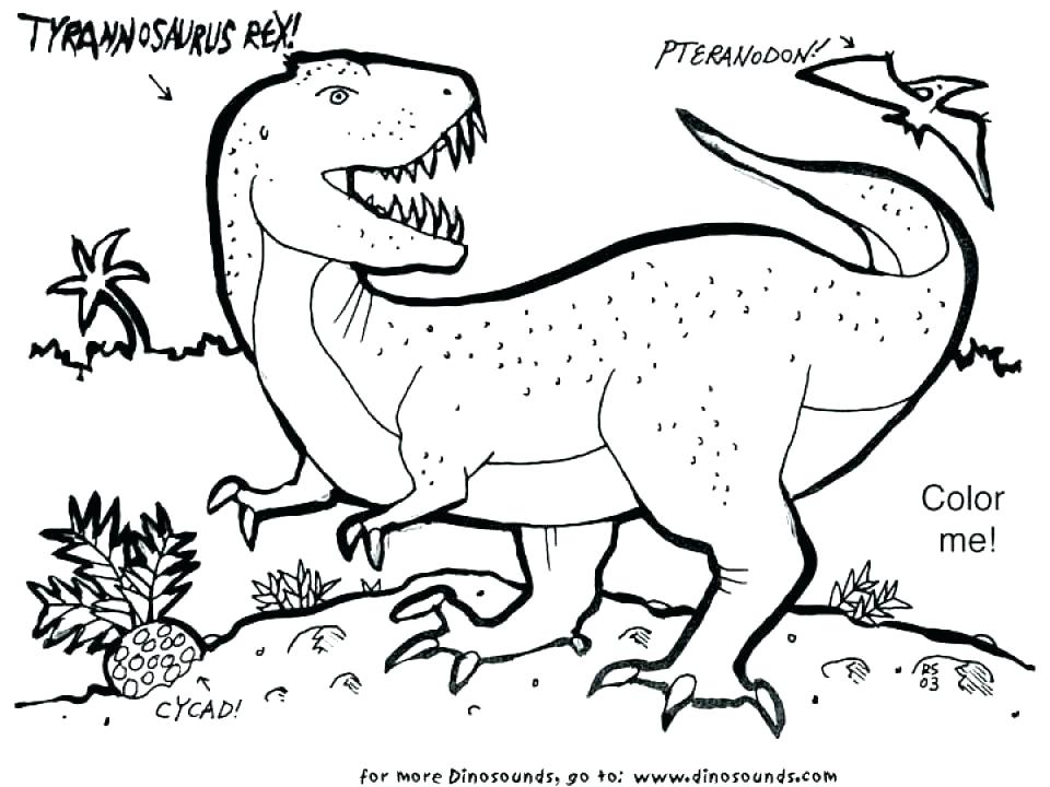 960x720 T Rex Color Page T Colouring Pages To Print Coloring Page Part 3 T