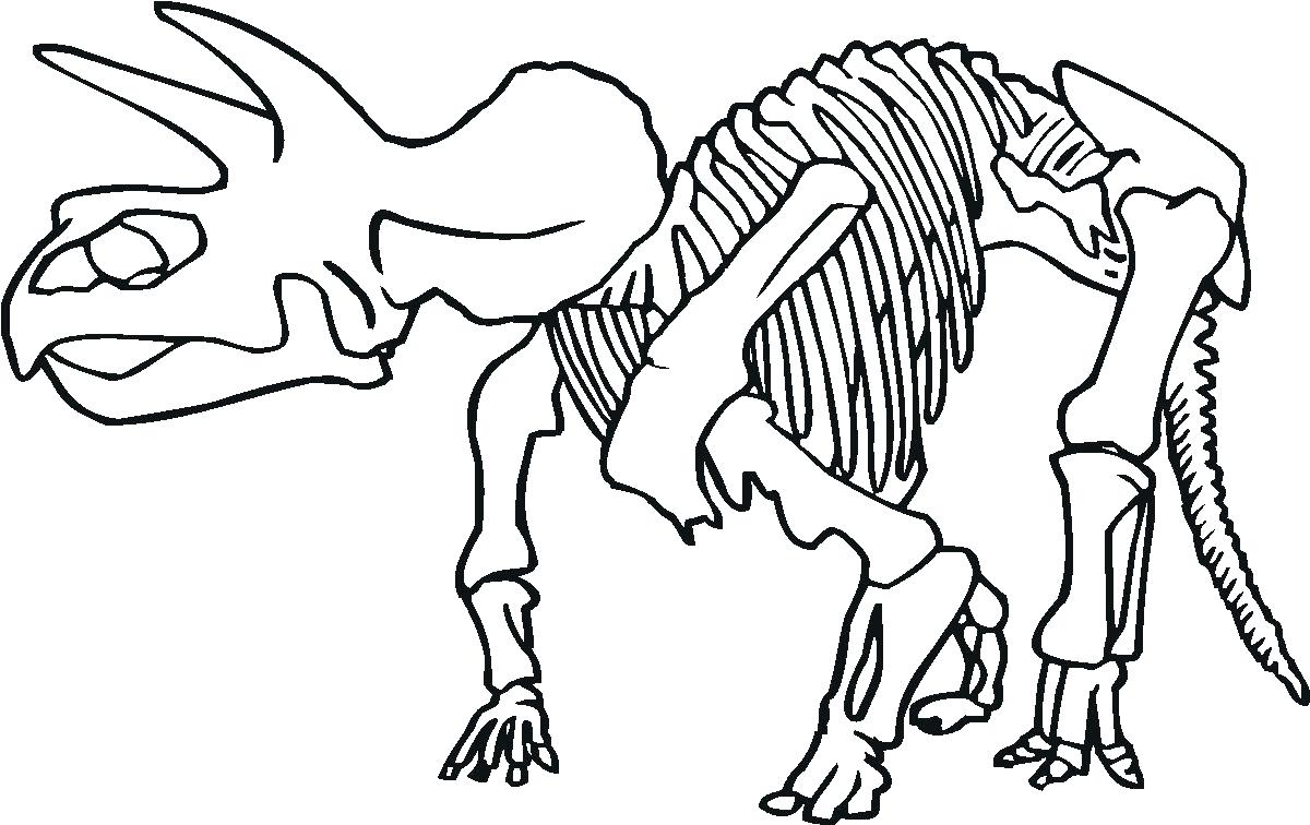 1200x756 Wonderful Tyrannosaurus Rex Skeleton Coloring Pages With