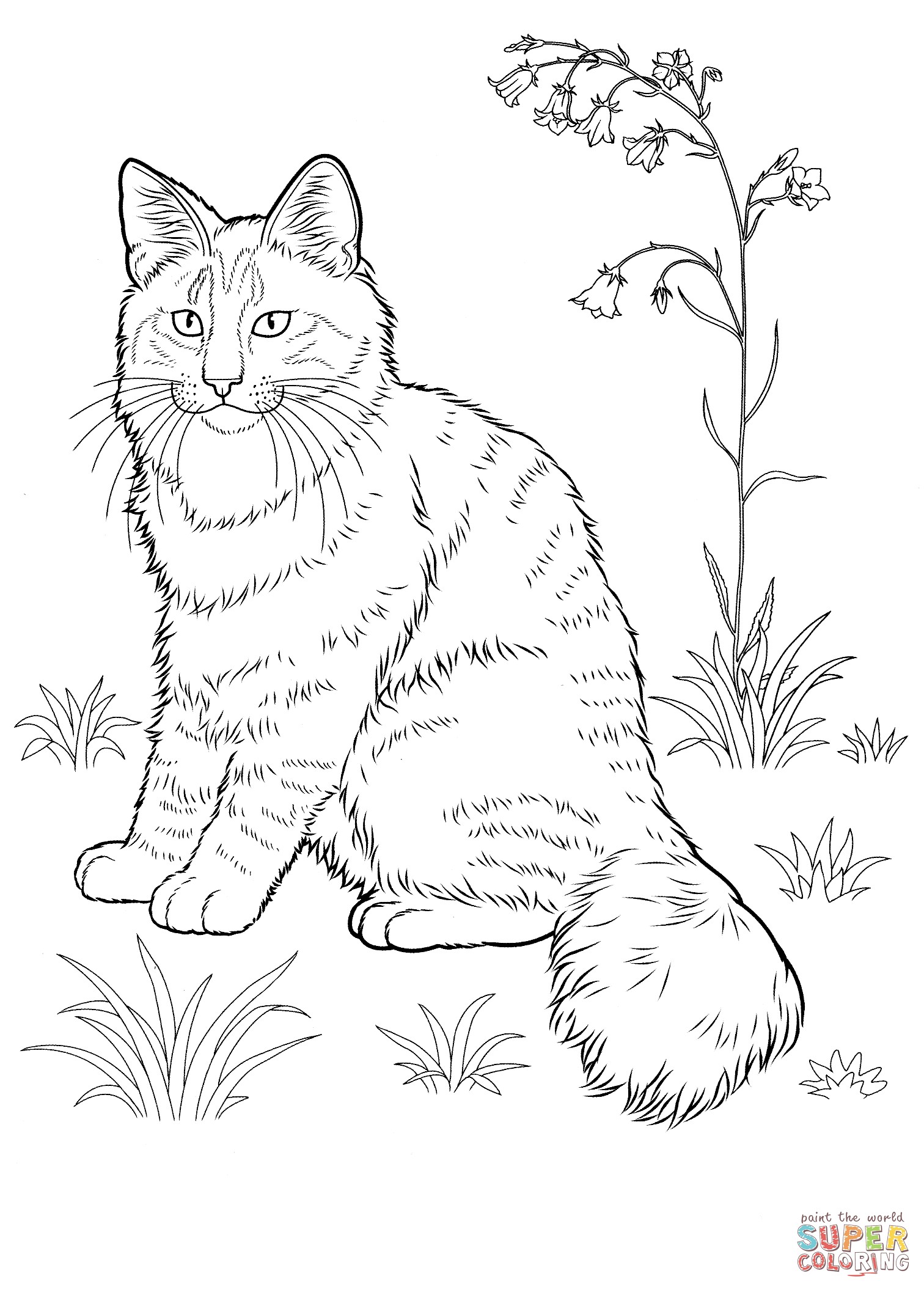 Cat Coloring Pages Online Free Fresh Best Of The Lovely Cartoon 99 1512x2111 Cat Coloring Pages Online Free Fresh Best Of The Lovely Cartoon 99