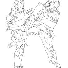220x220 Taekwondo Combat Sport Coloring Pages
