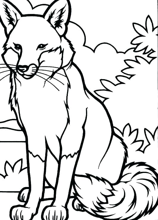 Tails The Fox Coloring Pages at GetColorings.com | Free printable ...