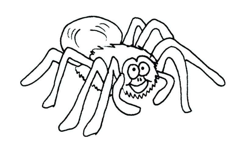 Tarantula Coloring Page at GetColorings.com | Free printable colorings ...