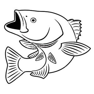 Fishing Target Bass Fish Coloring Pages Best Place To Color 300x300 Fishing Target Bass Fish Coloring Pages Best Place To Color