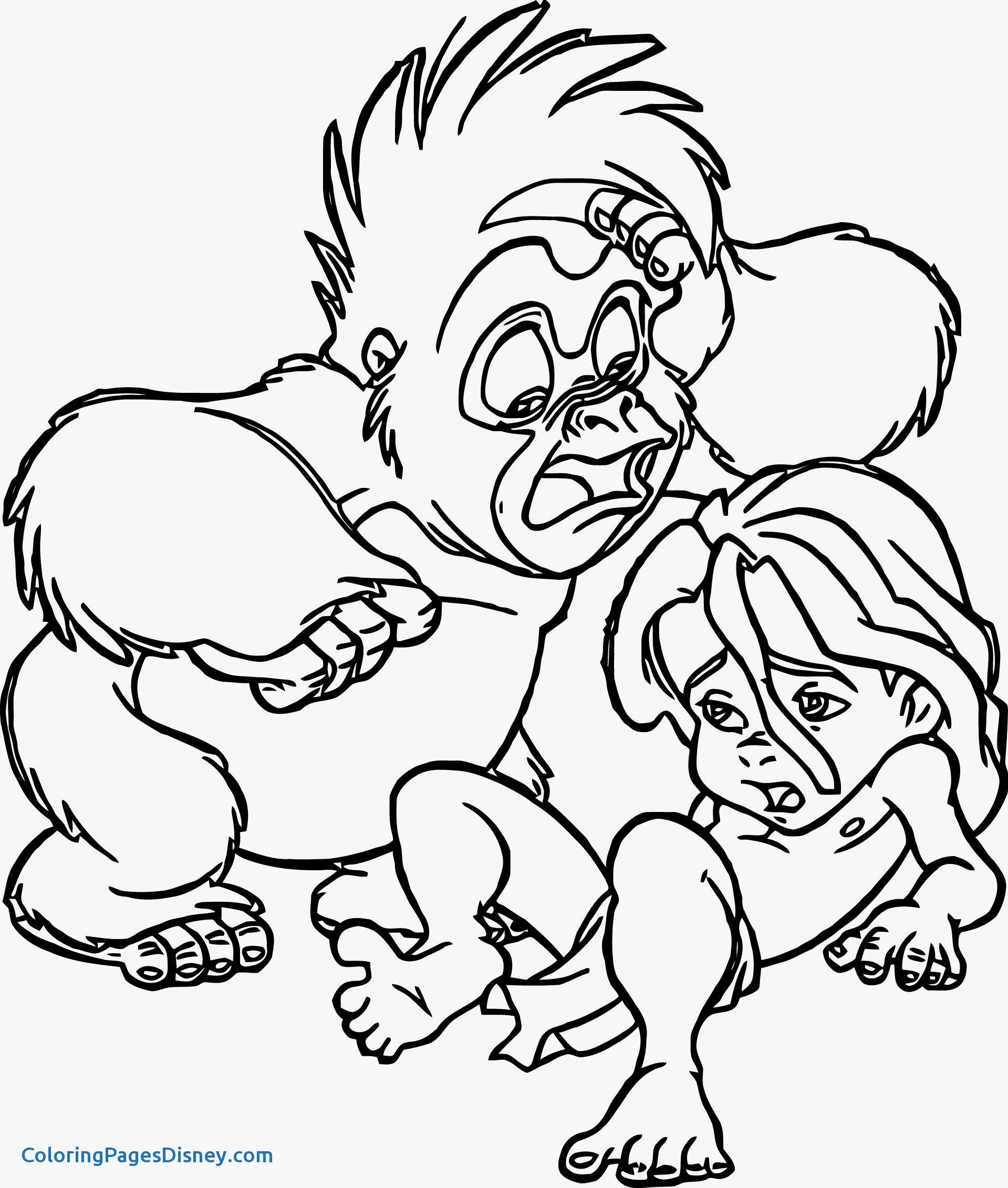 Elegant Tarzan Of The Apes Coloring Pages 1919x2262 Elegant Tarzan Of The Apes Coloring Pages