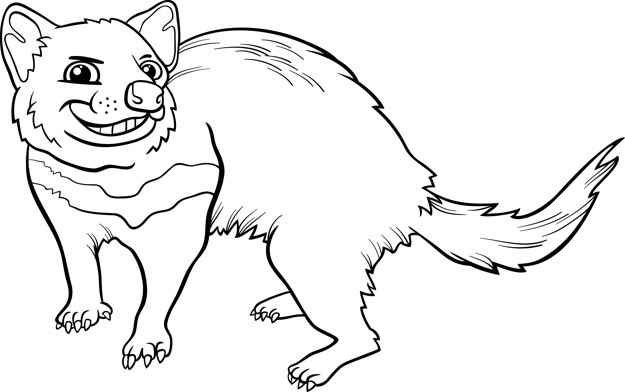 625x392 Tasmanian Devil Cartoon Coloring Page Vector Premium Download