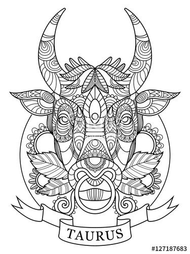 375x500 Taurus Zodiac Sign Coloring Page For Adults Fotolia 127187683