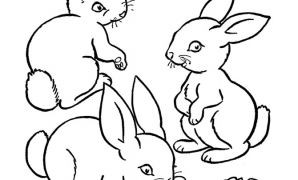 Tayo Coloring Pages at GetColorings.com | Free printable colorings ...