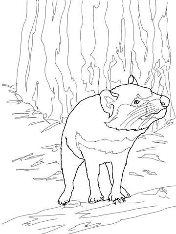 360x480 Running Tasmanian Devil Coloring Page