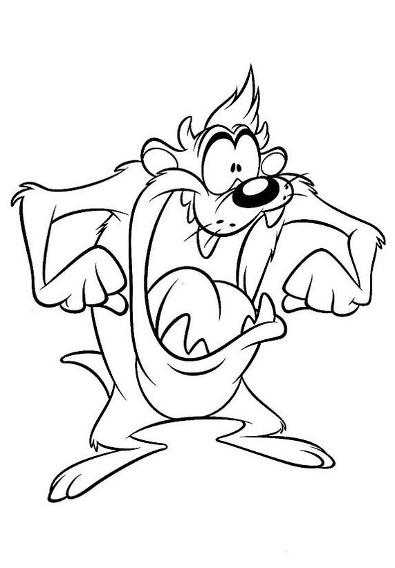 571x822 Tasmanian Devil