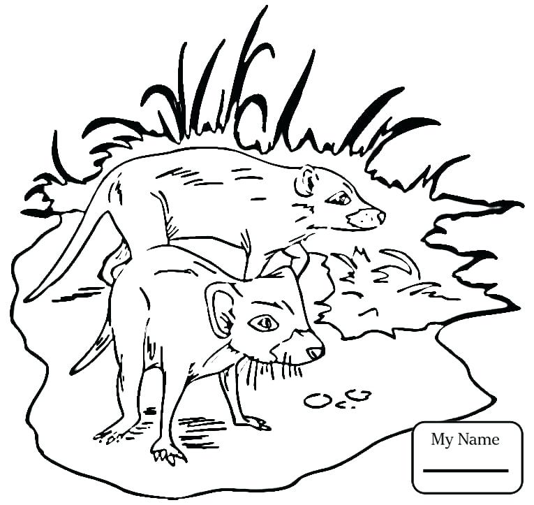 Best Of Tasmanian Devil Coloring Pages Pictures Coloring Pages 765x723 Best Of Tasmanian Devil Coloring Pages Pictures Coloring Pages