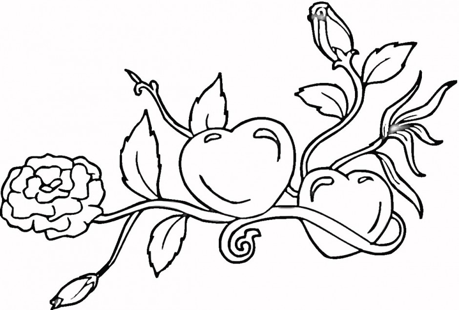 940x635 Teddy Bear And Heart Coloring Pages 305454