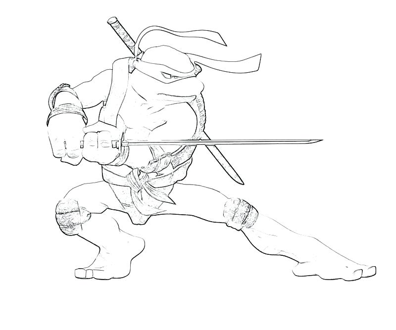 Teenage Mutant Ninja Turtles Coloring Pages Leonardo at GetColorings ...