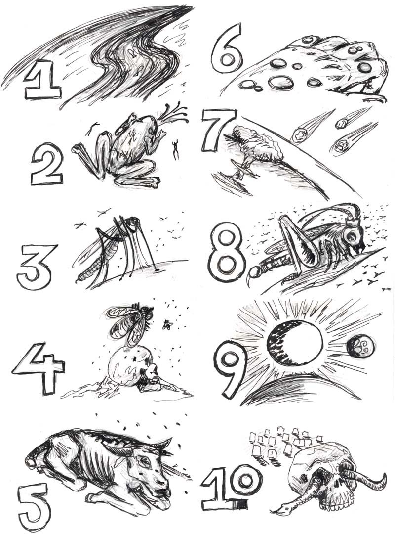 Ten Plagues Coloring Page 304284 Within 10 Pages 800x1084 Ten Plagues Coloring Page 304284 Within 10 Pages
