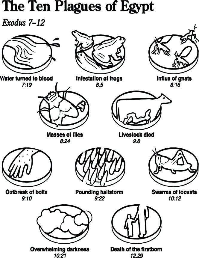 Ten Plagues Coloring Pages Plagues Of Colouring Pages Colouring 665x861 Ten Plagues Coloring Pages Plagues Of Colouring Pages Colouring