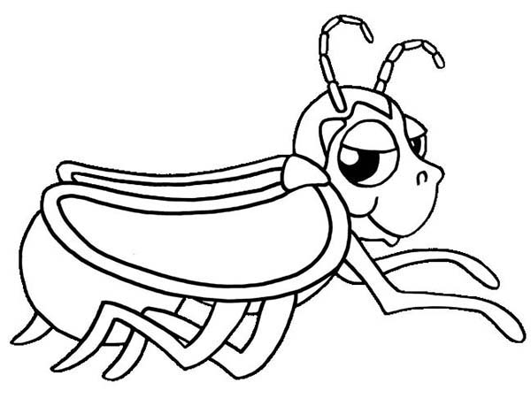 Tennessee Firefly Coloring Page Color Luna 600x459 Tennessee Firefly Coloring Page Color Luna