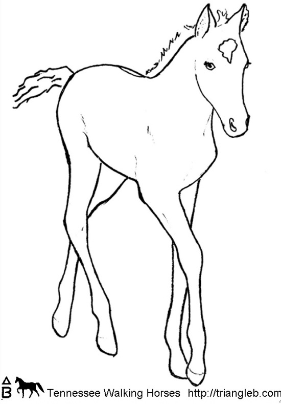 Triangle B 550x789 Triangle B