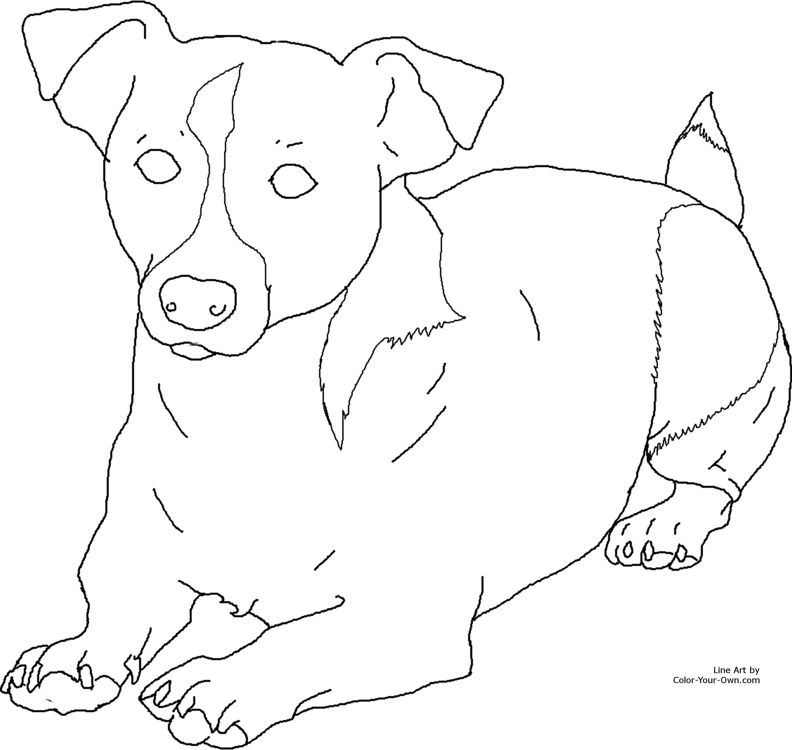 Jack Russell Terrier Coloring Pages Printable Coloring For Kids 2018 2535x2400 Jack Russell Terrier Coloring Pages Printable Coloring For Kids 2018