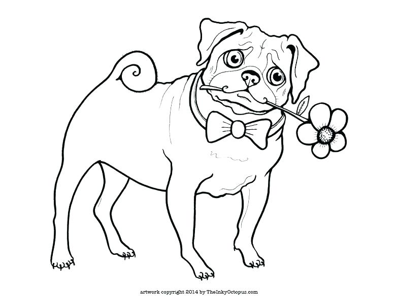 Pug Coloring Page Terrier Colouring Page Together With Terrier 784x606 Pug Coloring Page Terrier Colouring Page Together With Terrier