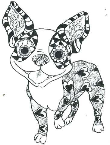 Boston Terrier Coloring Pages Plus Terrier Coloring Pages 365x480 Boston Terrier Coloring Pages Plus Terrier Coloring Pages