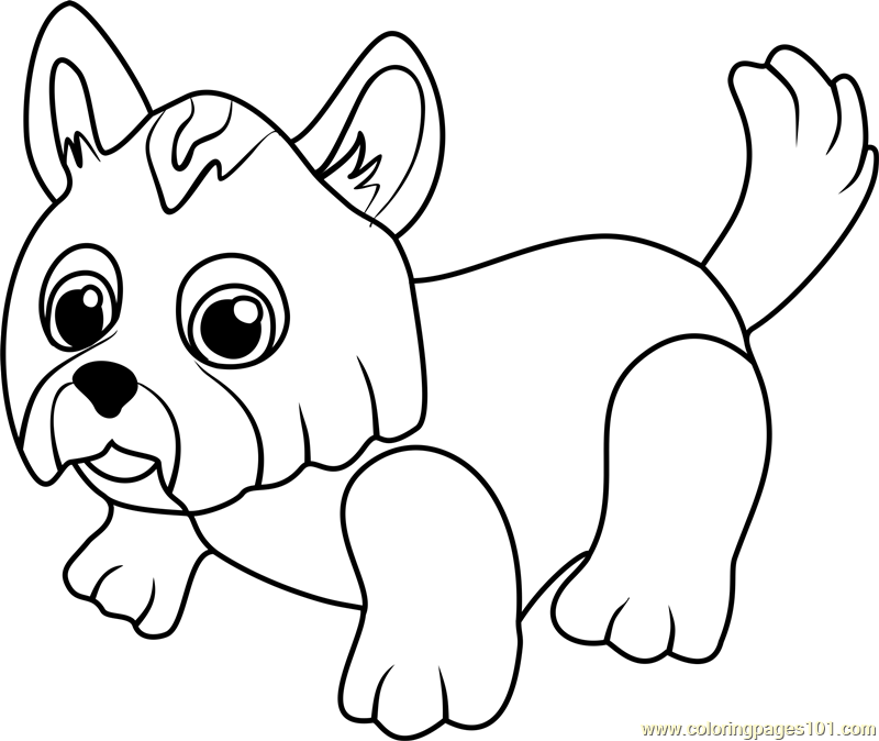 Yorkshire Terrier Coloring Page 800x674 Yorkshire Terrier Coloring Page